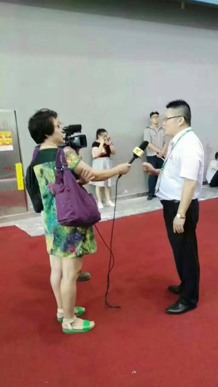 广东电视台正在采访小蝌蚪视频下载污化工总经理张总2